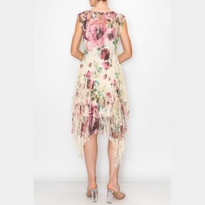 Floral Print Dress: Garden Party Romantic Printed Lace